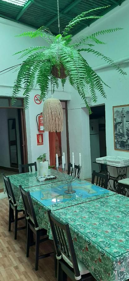 Vivienda Vacacional Sabinosa Ngoại thất bức ảnh