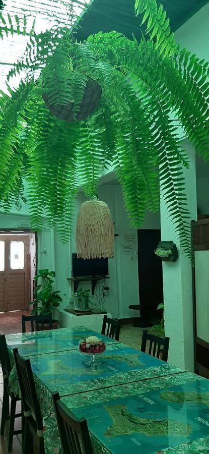 Vivienda Vacacional Sabinosa Ngoại thất bức ảnh